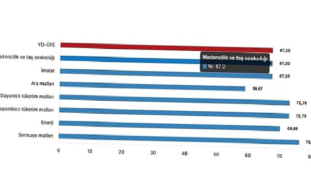 Tüik: Yurt Dışı Üretici Fiyat Endeksi (YD-ÜFE) yıllık %67,25 arttı, aylık %4,70 arttı