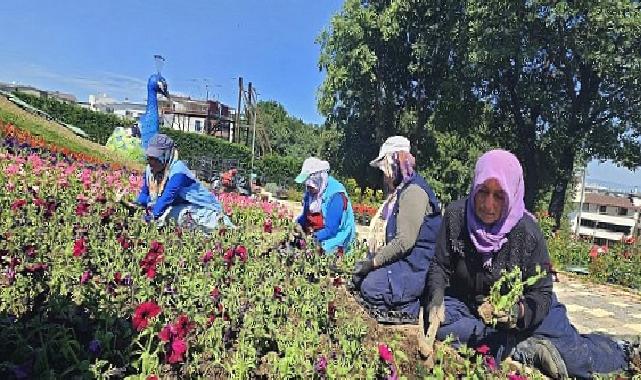 Osmangazi çiçek açıyor