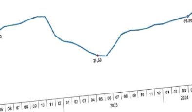 Tüik: Tüketici fiyat endeksi (TÜFE) yıllık %75,45, aylık %3,37 arttı